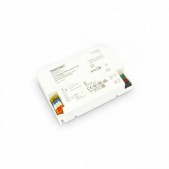100W LED maitinimo...