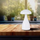 1W LED įkraunamas stalinis...