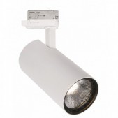 10W LED akcentinis...