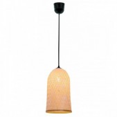 Pakabinamas šviestuvas...