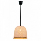 Pakabinamas šviestuvas...