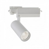 20W LED akcentinis...