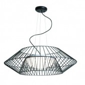 Pakabinamas šviestuvas,...