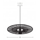 Pakabinamas šviestuvas,...