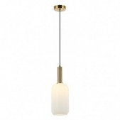 Pakabinamas šviestuvas,...